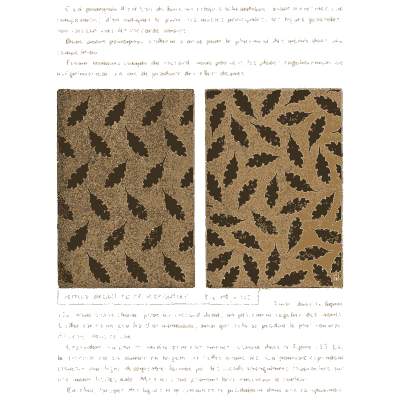 Leaf scatter patterns - Étude de la Plante - 1903