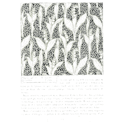 Grey leaf sprig pattern - Étude de la Plante - 1903