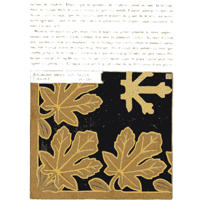 Fig leaf carpet border - Étude de la Plante - 1903