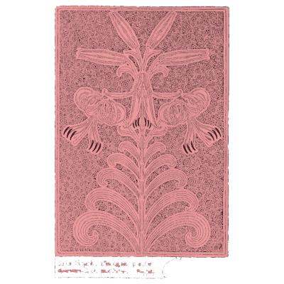 Tiger lily metal plaque - Étude de la Plante - 1903