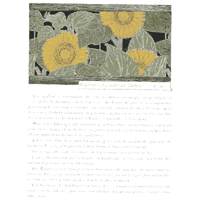 Sunflower border - Étude de la Plante - 1903