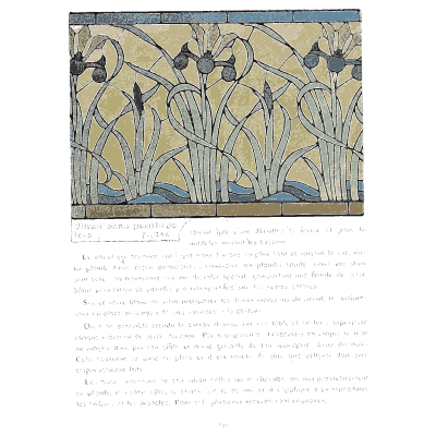 Iris leaf stained glass panel - Étude de la Plante - 1903