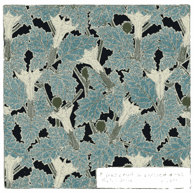 Thorn apple stencil pattern - Étude de la Plante - 1903