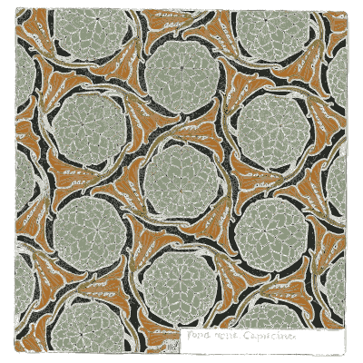 Nasturtium leaf pattern - Étude de la Plante - 1903