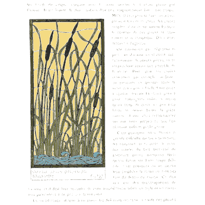 Cattail stained glass panel - Étude de la Plante - 1903