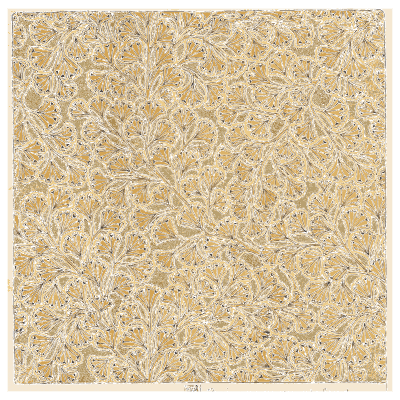 Speckled gold wallpaper texture - Étude de la Plante - 1903
