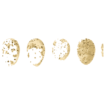 Four small speckled eggs - Ootheca Wolleyana: An Illustrated Catalogue of Birds' Eggs - 1864