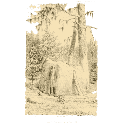 Tent under mossy trees - Ootheca Wolleyana: An Illustrated Catalogue of Birds' Eggs - 1864