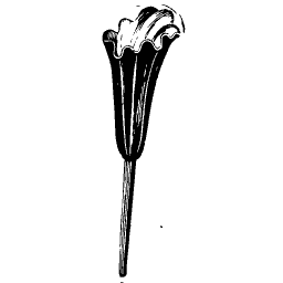 Fluted sprinkler spike
