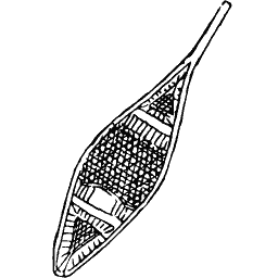 Snowshoe