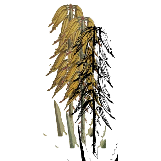 Hooded flower spike