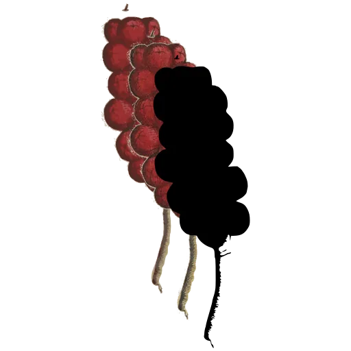 Solid seed head