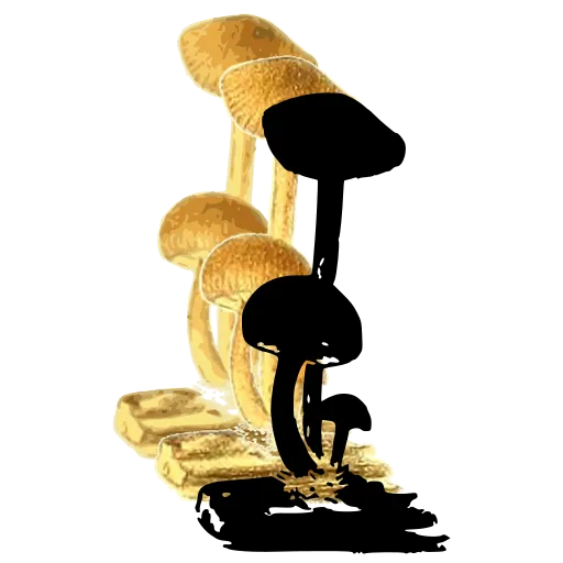 Mushrooms on a twig