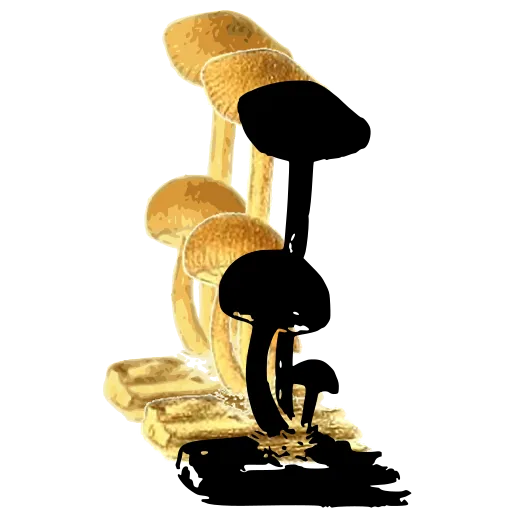Mushrooms on a twig