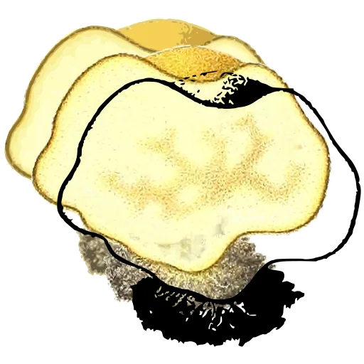 Outlined mushroom cap
