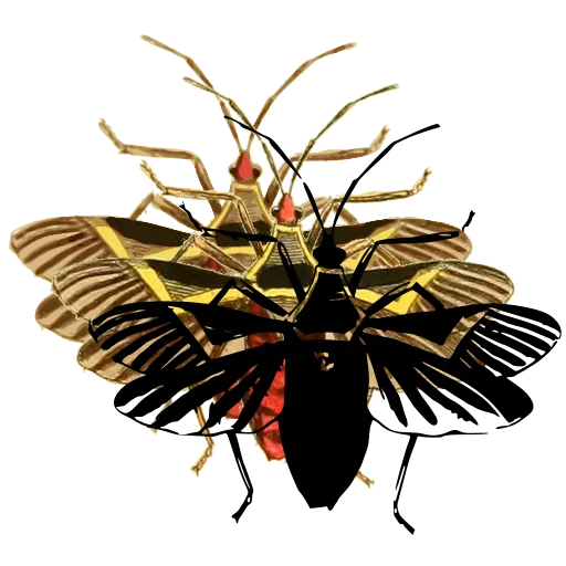 Winged bug