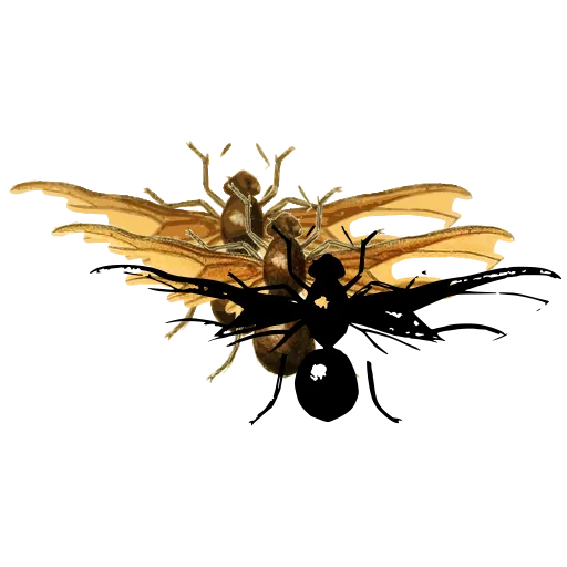 Winged ant