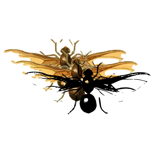 Winged ant