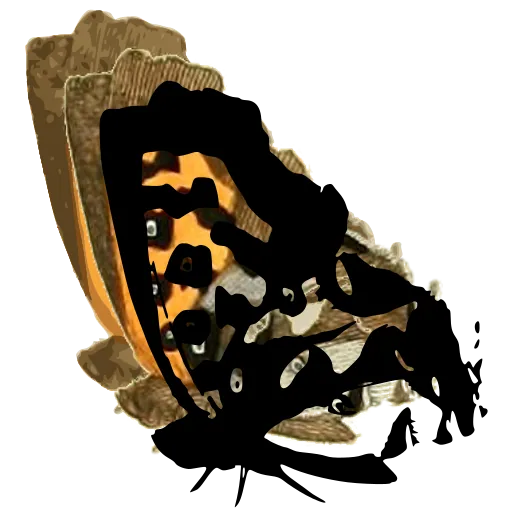 Blotched butterfly