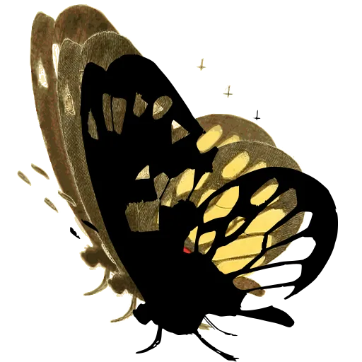 Butterfly in side view 01