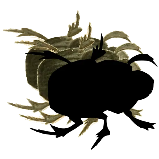 Stag beetle 01