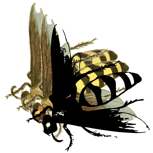 Striped wasp in side view