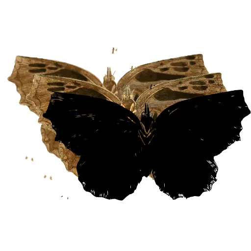 Dark butterfly 01