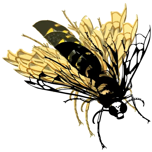 Bee in flight 01
