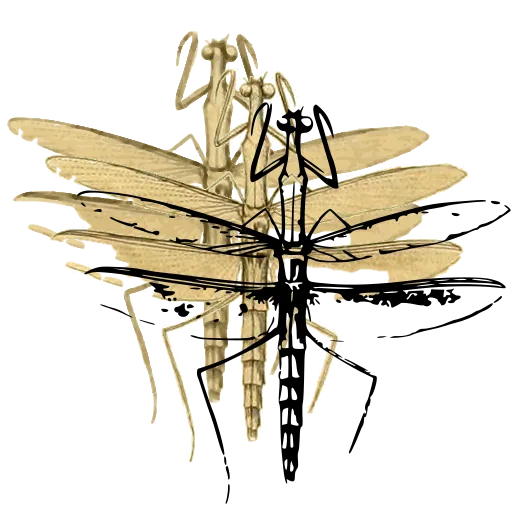 Winged mantis-like insect