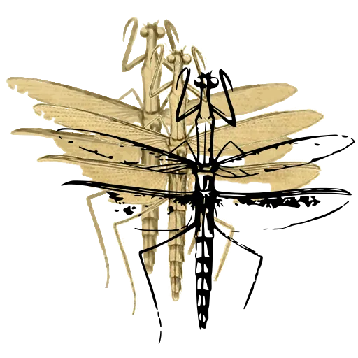 Winged mantis-like insect