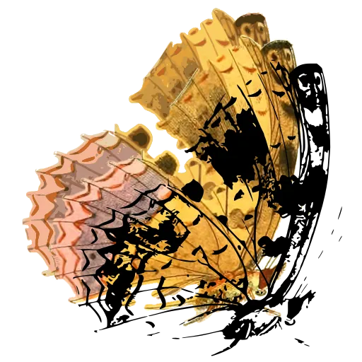 Mottled butterfly in side view 02