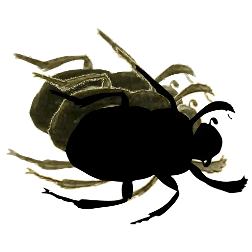 Rounded beetle 02