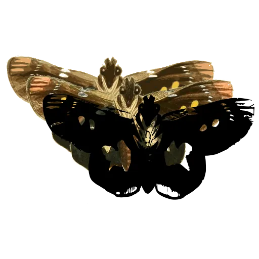 White-patched butterfly 01