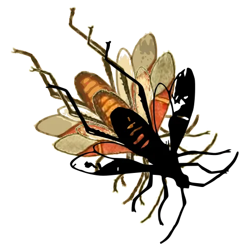Wasp in flight 01