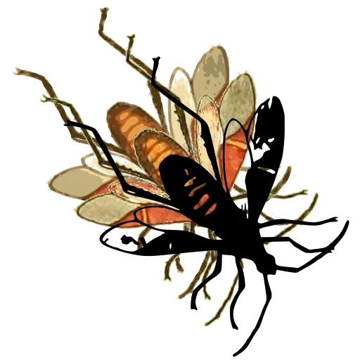 Wasp in flight 01