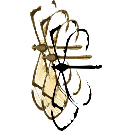 Lacewing with ribbon wings