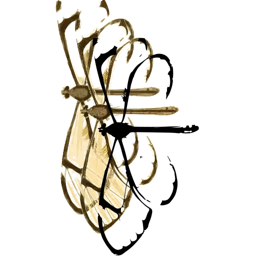 Lacewing with ribbon wings
