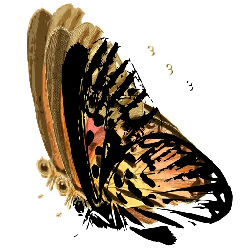 Butterfly in side view 07