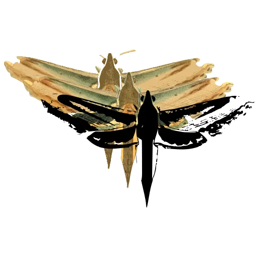 Hawk moth with narrow wings 02