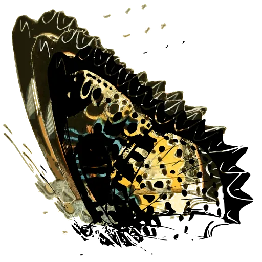 Scalloped butterfly in side view 02