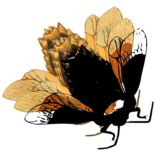 Bee in flight 02