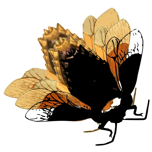 Bee in flight 02