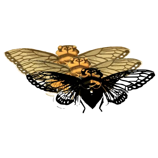 Cicada with veined wings
