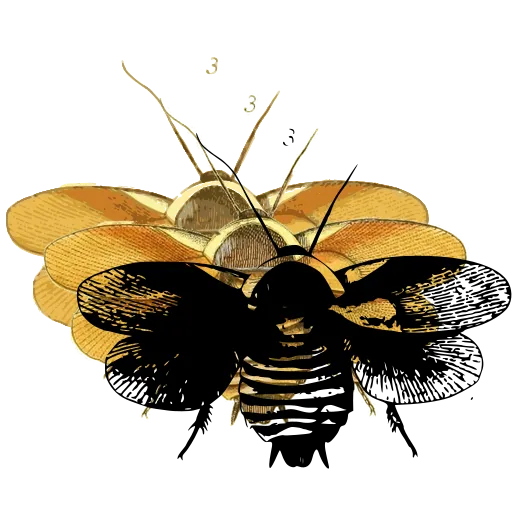 Bee with spread wings 02