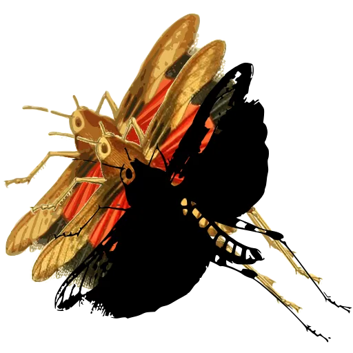 Butterfly at rest 02