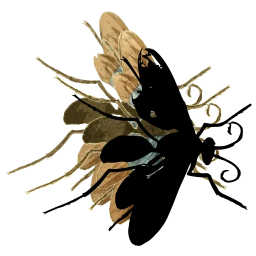 Wasp in flight 02