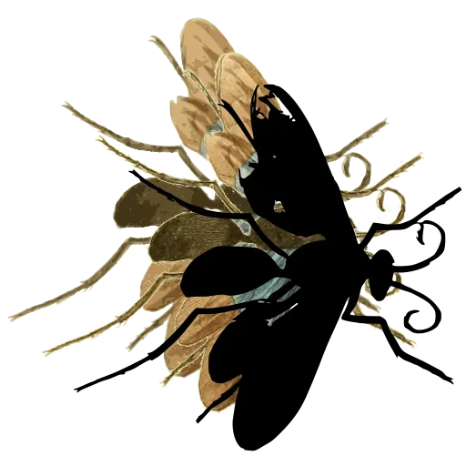 Wasp in flight 02