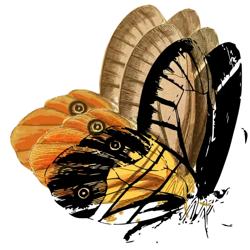 Eyed butterfly in side view 03