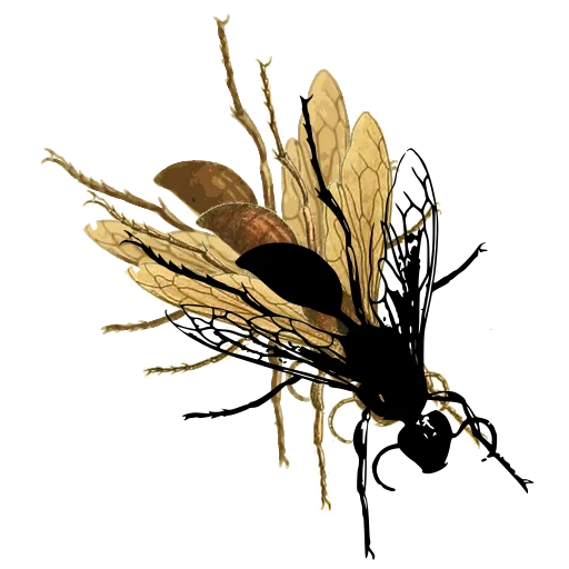 Wasp in flight 03