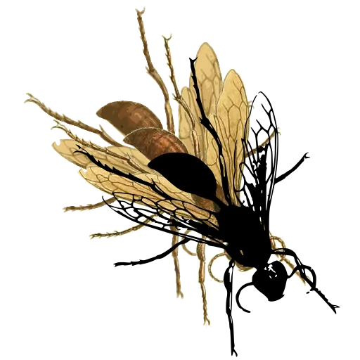 Wasp in flight 03